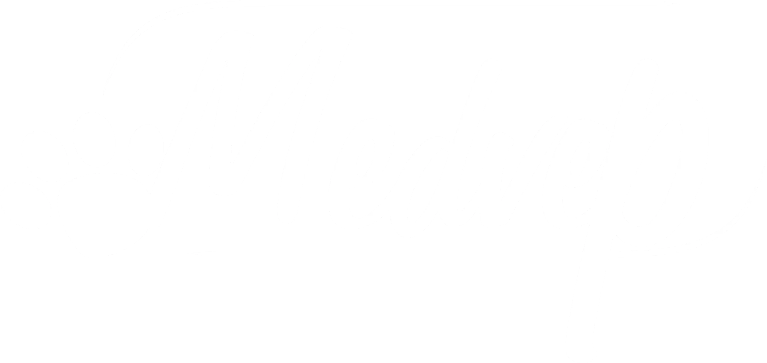 Logo - Medvep